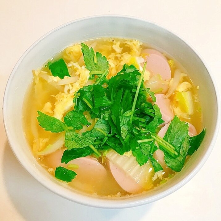 おひとり様に☆白菜ともやしと魚肉ソーセージのスープ